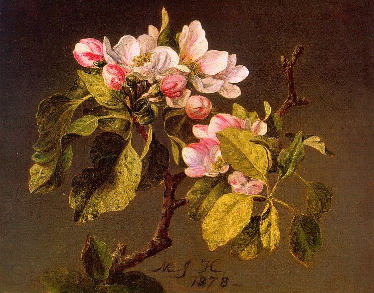 Martin Johnson Heade Apple Blossoms Spain oil painting art